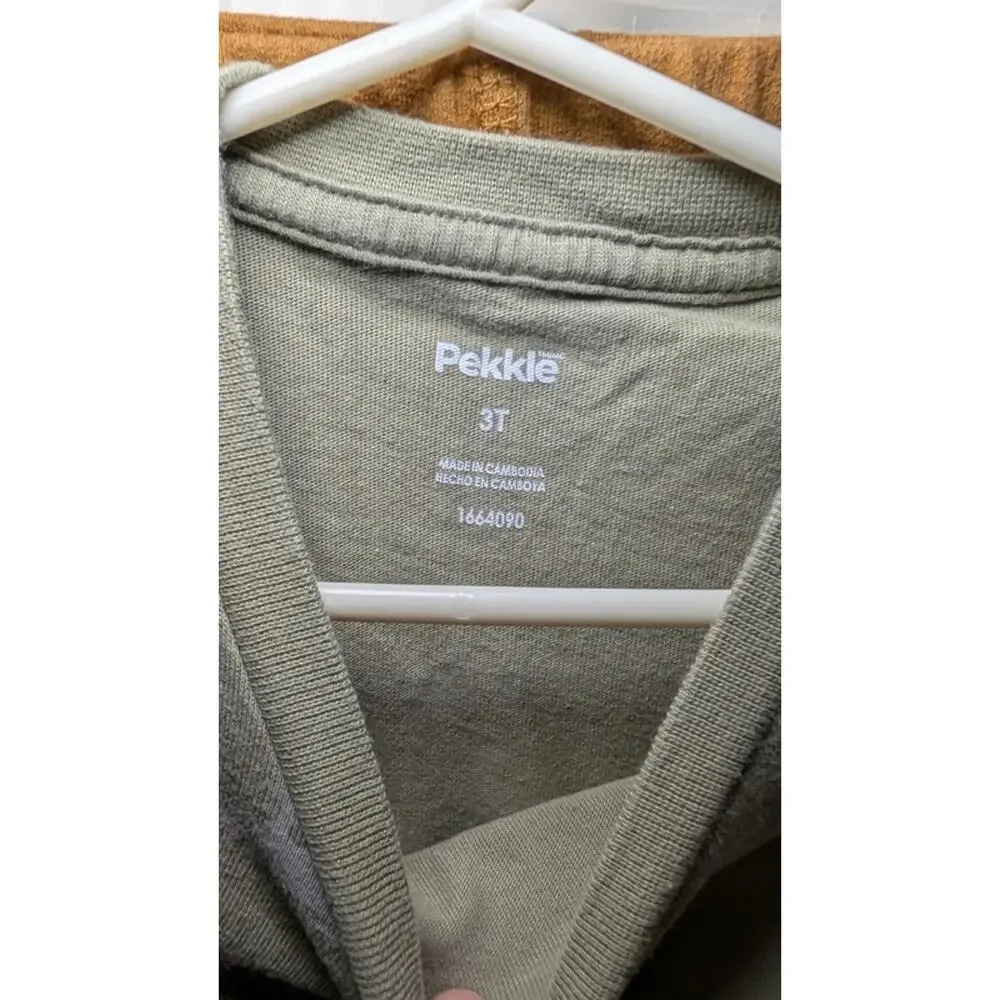 Boys Size 2T Outfit - Pekkle Gray Dino T-shirt + Garanimals Tan Sweatpants